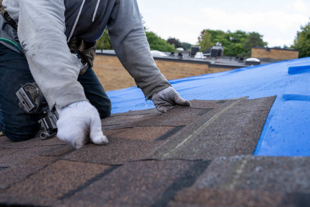 Gutter Installation and Roofing in River Ridge, LA